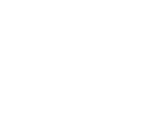 The Lychee Road
